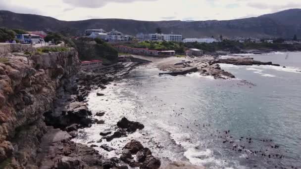 Aerial View Old Harbour Hermanus Iconic Landmark South Africa — Stock Video