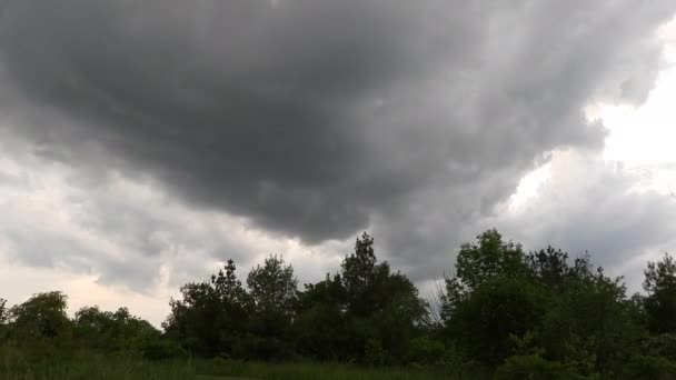 Time Lapse Thick Dark Clouds Moving Silhouette Trees Dramatic Spooky — Stock Video