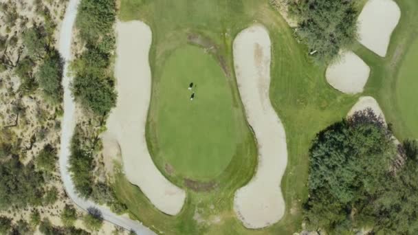 Dos Golfistas Poniendo Verde Giro Arriba Hacia Abajo Desert Cactus — Vídeos de Stock