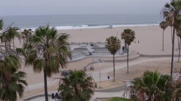 Veduta Aerea Dietro Palme Guardando Persone Pattinare Venice Beach Skate — Video Stock