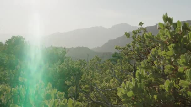 Vale Escondido Panning Tiros Topo Dos Arbustos Foggy Canyon Raios — Vídeo de Stock