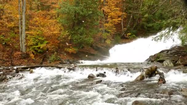 Herbstwaldszene Mit Abgefallenen Blättern Die Wind Über Einem Wasserfall Wehen — Stockvideo