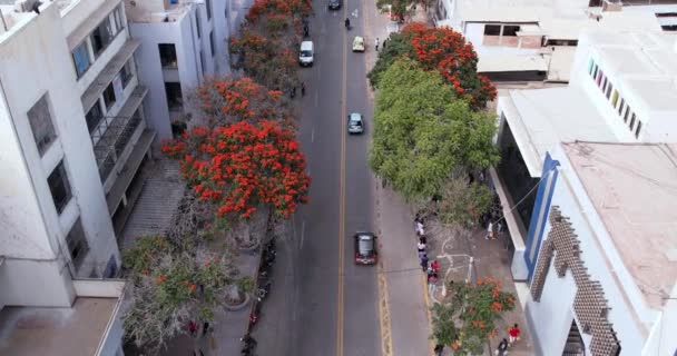 Geweldige Drone Tracking Shot Van Een Aantal Auto Reizen Door — Stockvideo