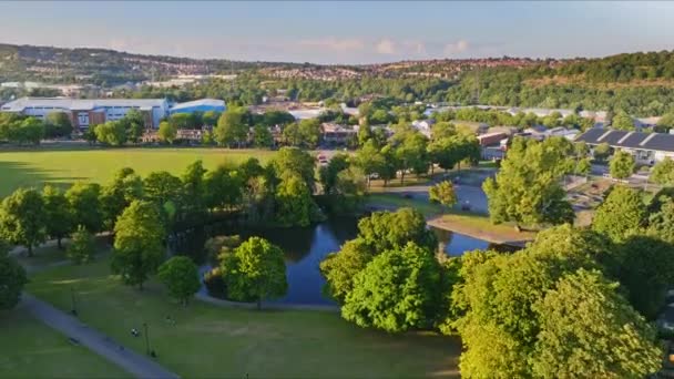 Hillsborough Şehir Parkındaki Uzun Gölgelerin Arasında Büyük Bir Gölet Arkasında — Stok video