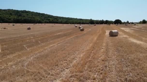 Slovakya Daki Çiftlikteki Saman Balyalarının Üzerinden Insansız Hava Aracı Atışı — Stok video