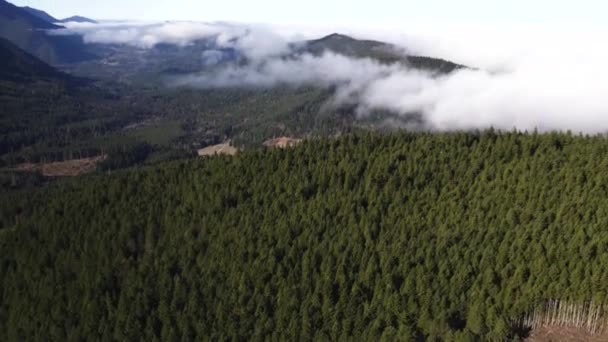 Schöne Langsame Drohnenaufnahmen Über Den Wolken Olympic National Park Port — Stockvideo