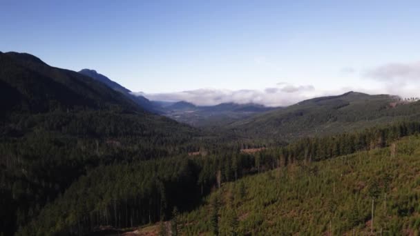 Imagens Drones Lentos Bonitos Topo Das Nuvens Olympic National Park — Vídeo de Stock