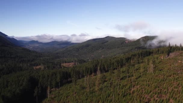 Piękne Powolne Nagrania Dronów Przemierzające Chmury Góry Doliny Olympic National — Wideo stockowe