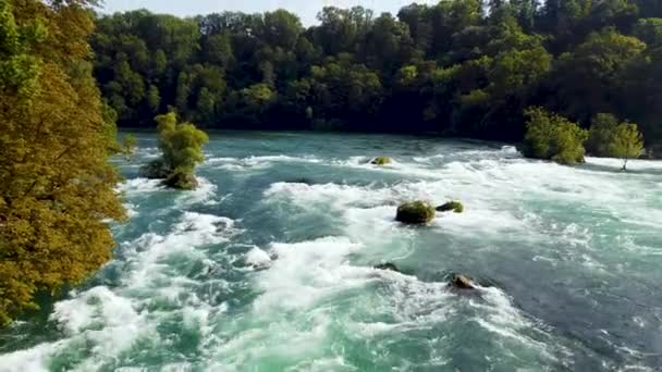 Быстро Течет Широкая Река Белой Водой Деревьями Стороне Вверх Течению — стоковое видео