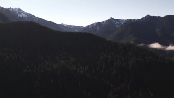 Lindas Lentas Imagens Drones Parque Nacional Olímpico Port Angeles Washington — Vídeo de Stock