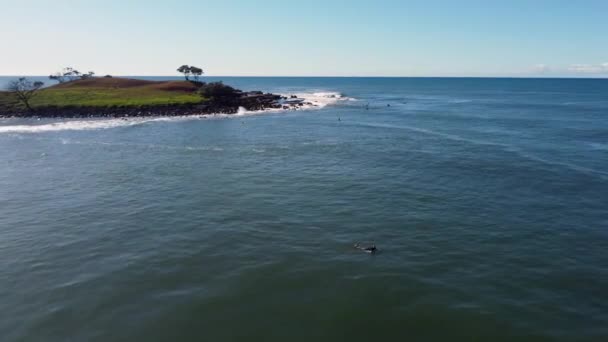 Drone Antenne Pan Geschoten Yamba Angourie Island Surf Pacific Oceaan — Stockvideo