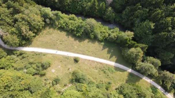 Kırsal Kesimdeki Bir Orman Yolunun Insansız Hava Aracı Görüntüsü Yukarıdan — Stok video