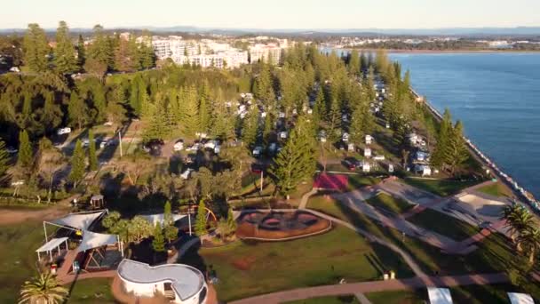 Aerial Drone Escénico Plano Pinos Top Árboles Turismo Rural Skatepark — Vídeos de Stock