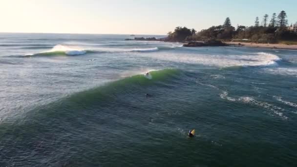 Aerial Drone Shot Main Town Beach Waves Foam Swell Surfer — Αρχείο Βίντεο