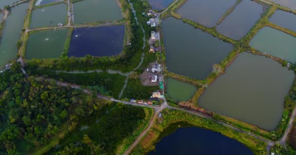 Vista Superior Del Dron Una Zona Húmeda Durante Final Del — Vídeos de Stock