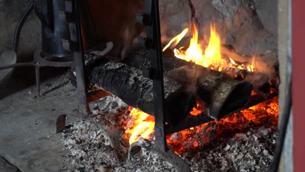 Ein Schönes Feuer Sie Sich Entspannen Und Aufwärmen Können Während — Stockvideo