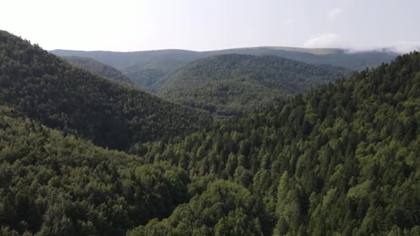 Spanya Daki Dağların Nsansız Hava Aracı Manzarası Orman Çam Ormanı — Stok video