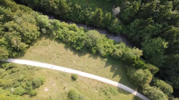 Ormancılık Bölgesindeki Ahşap Bir Patikanın Havadan Görünüşü Tepeden Hava Görüntüsü — Stok video