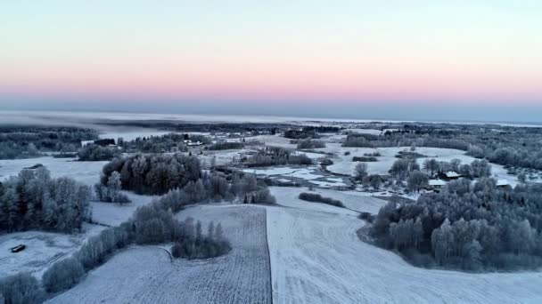 夕暮れ時の新雪に覆われた農地 空飛ぶ — ストック動画