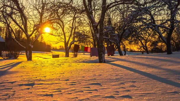 Noi Lavanderia Appesa Una Linea Tramonto Con Ombre Dal Sole — Video Stock