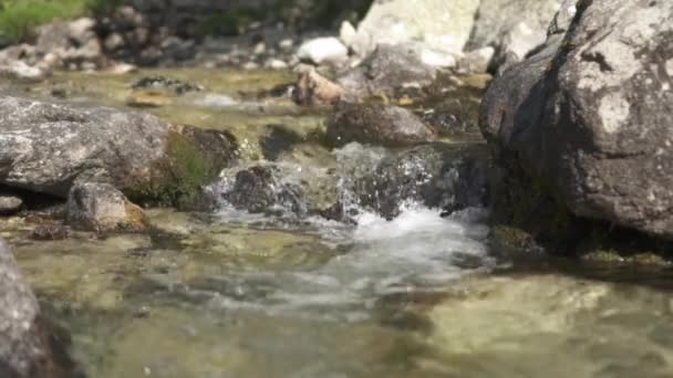 夏日里 山泉的湍急流动 慢动作 — 图库视频影像