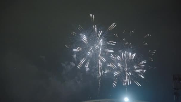 Fogos Artifício Yodogawa Exibir Iluminação Céu Noturno Osaka Japão — Vídeo de Stock