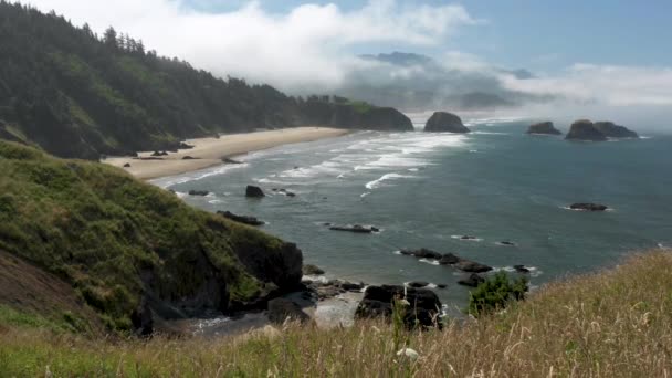 High Angle View Bluff Waves Breaking Crescent Beach Ecola State — Stock Video