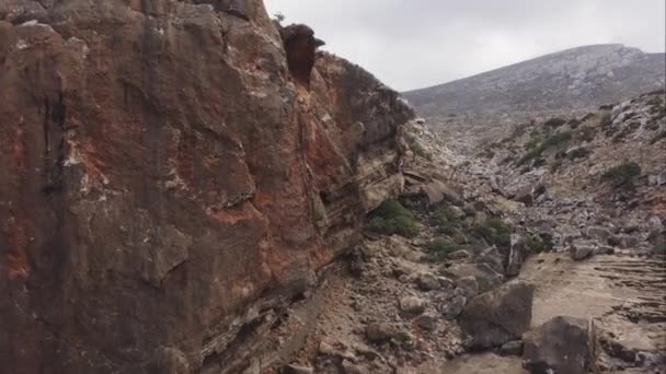 Camera Rises Rock Massif Reveal Subtropical Dragon Blood Trees Socotra — Stock Video