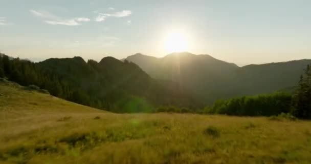 Antenne Über Hinterland Gebirge Und Wald Bei Sonnenuntergang — Stockvideo
