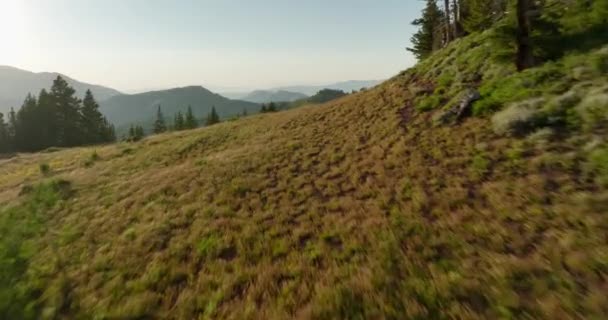 Εναέρια Πάνω Από Backcountry Οροσειρά Και Δάσος Στο Ηλιοβασίλεμα — Αρχείο Βίντεο