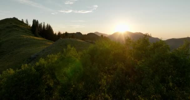 Cordillera Aérea Sobre Campo Bosque Atardecer — Vídeo de stock