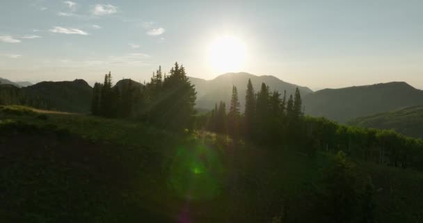 Antenne Über Hinterland Gebirge Und Wald Bei Sonnenuntergang — Stockvideo