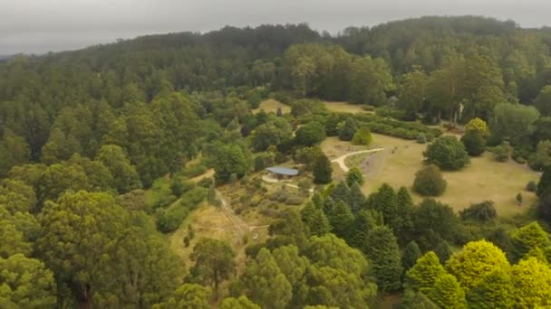 Gladde Antenne Fatsoenlijk Baan Rond Botanische Tuin Bedekking Heuvelrug — Stockvideo