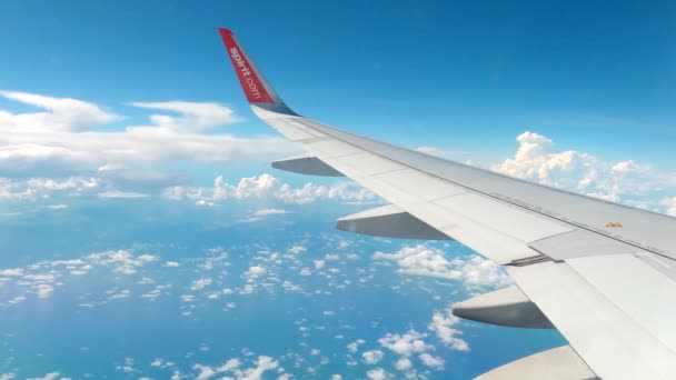 昼間にメキシコへの旅行中に飛行機の窓から見た飛行機の翼のショット — ストック動画