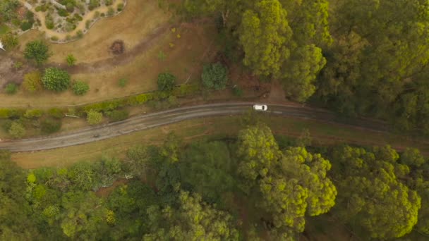 ツリーキャノピー下未舗装道路に沿って白い車の運転を追跡する高高度空中パースペクティブ — ストック動画