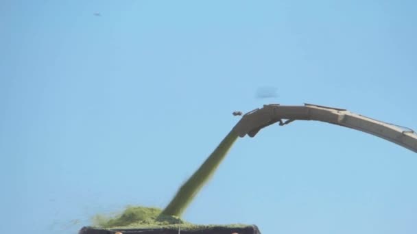 Combine Harvests Corn Field Sending Corn Nearby Tractor Trailer Blue — Stock Video