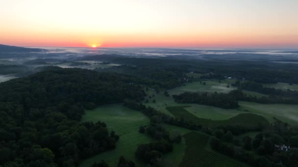 Mountains Usa Forest Woodland Trees Nature Sunset Aerial Airplane View — Stock Video