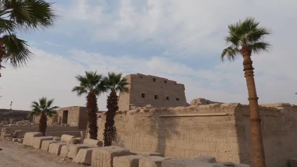 Templo Karnak Luxor Egipto Palmeras Ruinas Emblemáticas — Vídeo de stock