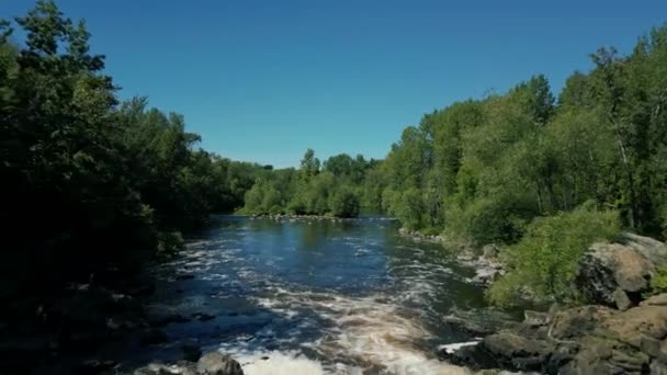 Naturfilme Einer Drohne Die Einem Sonnigen Tag Über Den Fluss — Stockvideo