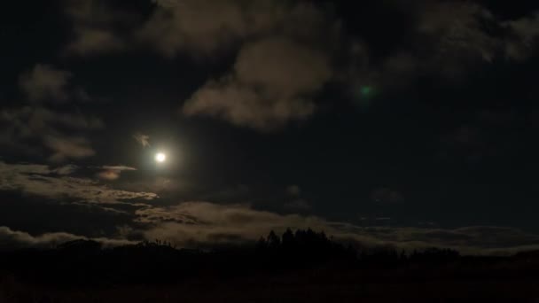 Bright Full Moon Night Sky Clouds Passing Timelapse — Stock Video