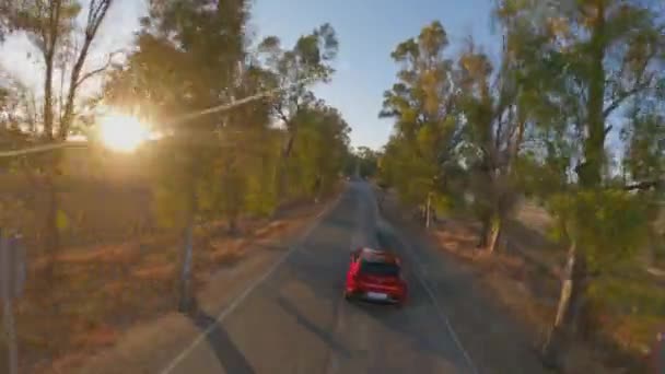 Dinamis Udara Berikut Mazda Merah Mobil Jalan Melalui Pohon Berpaku — Stok Video
