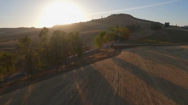 Aerea Auto Guida Verso Alba Dorata Strada Campagna Alberata — Video Stock