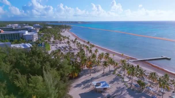 Lotnicza Piaszczysta Plaża Palmami Pięknym Błękitnym Morzem Karaibskim Świetle Słonecznym — Wideo stockowe