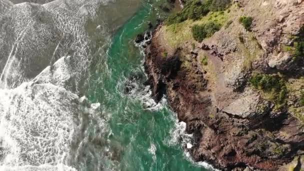 Vågor Krascha Mot Ikoniska Lion Rock Piha Beach West Auckland — Stockvideo