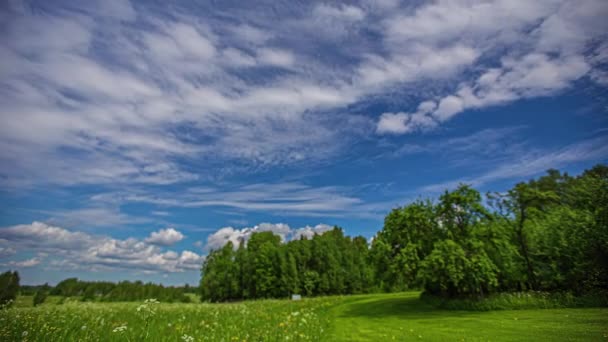 Static Shot White Cloud Movement Timelapse Green Grasslands Outskirts Forest — Stock Video