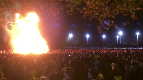 バタシーパークでのガイ フォークスのお祝いのために 夜にたき火を囲んで大勢の人々が集まりました — ストック動画