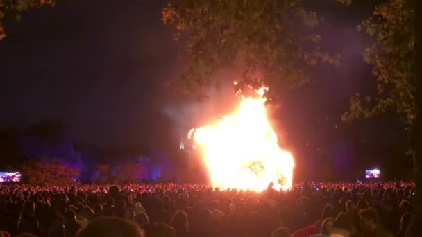 Large Crowd People Celebrating Bonfire Night Battersea Park Seen Tree — Stock Video