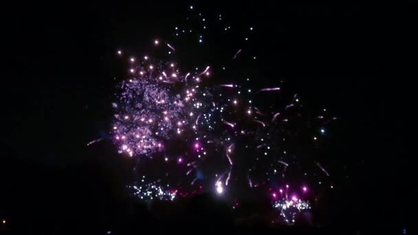 バタシー パークでのガイ フォークスの夜のお祝いの間に花火の遅い動きを非難しました — ストック動画