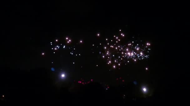 バタシー公園でのたき火の夜のための抽象的な花火の遅い動きの背景を強調 — ストック動画