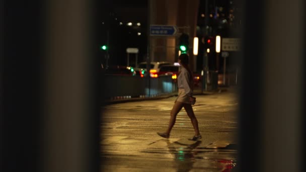 Peoples Night Walking Zebra Cross Drizzling Rain Urban Scenes Nightlife — Stock Video